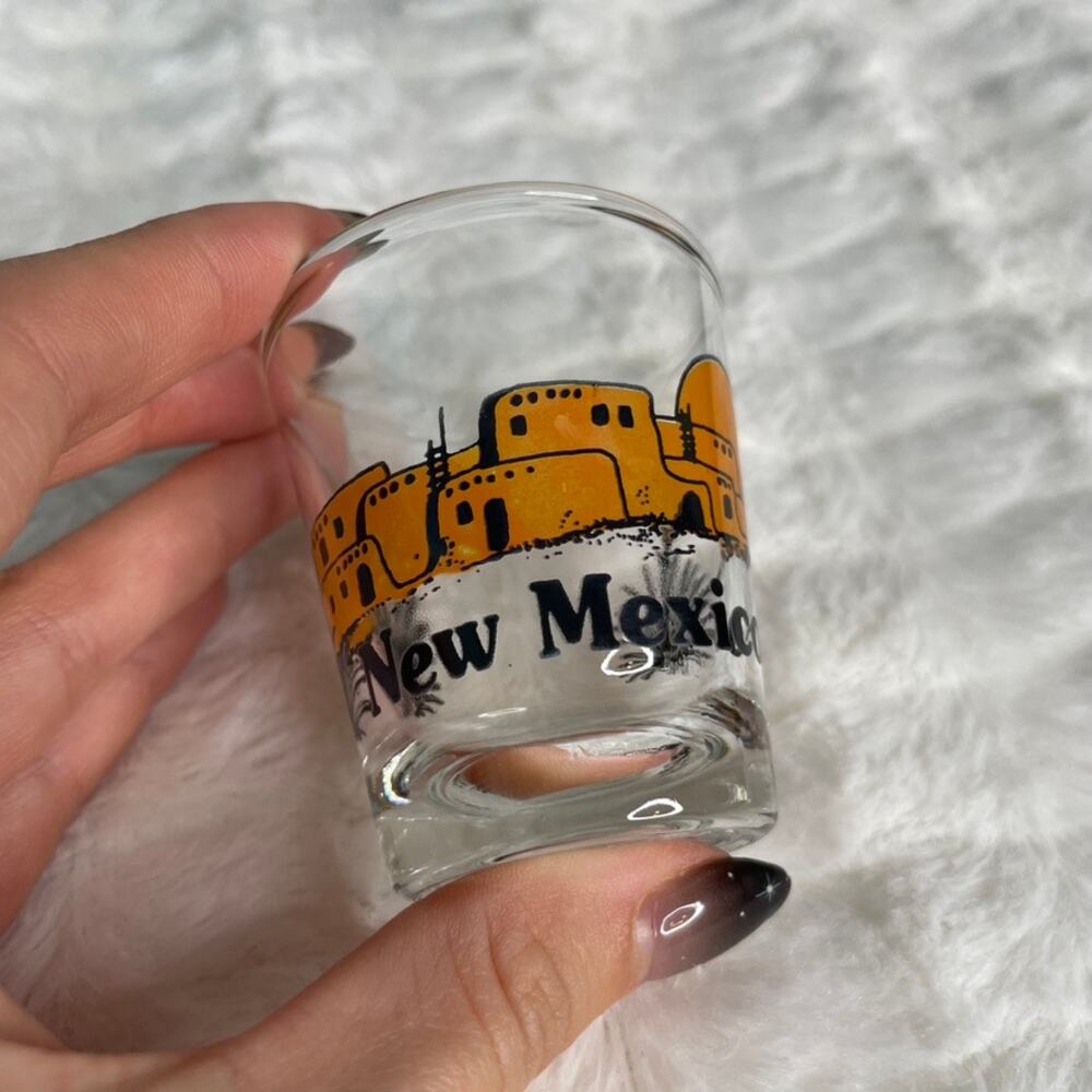 NEW MEXICO Shot‎ Glass Black Orange Houses Desert Clear Glass
